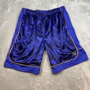 And1 Men's Blue and Purple Shorts